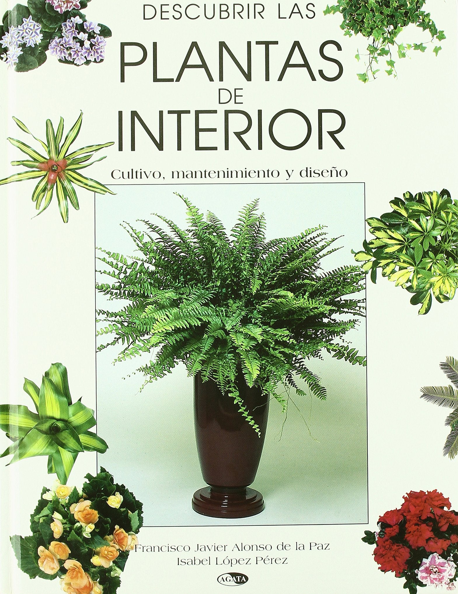 Descubrir Las Plantas De Interior/Discover Indoor Plants book