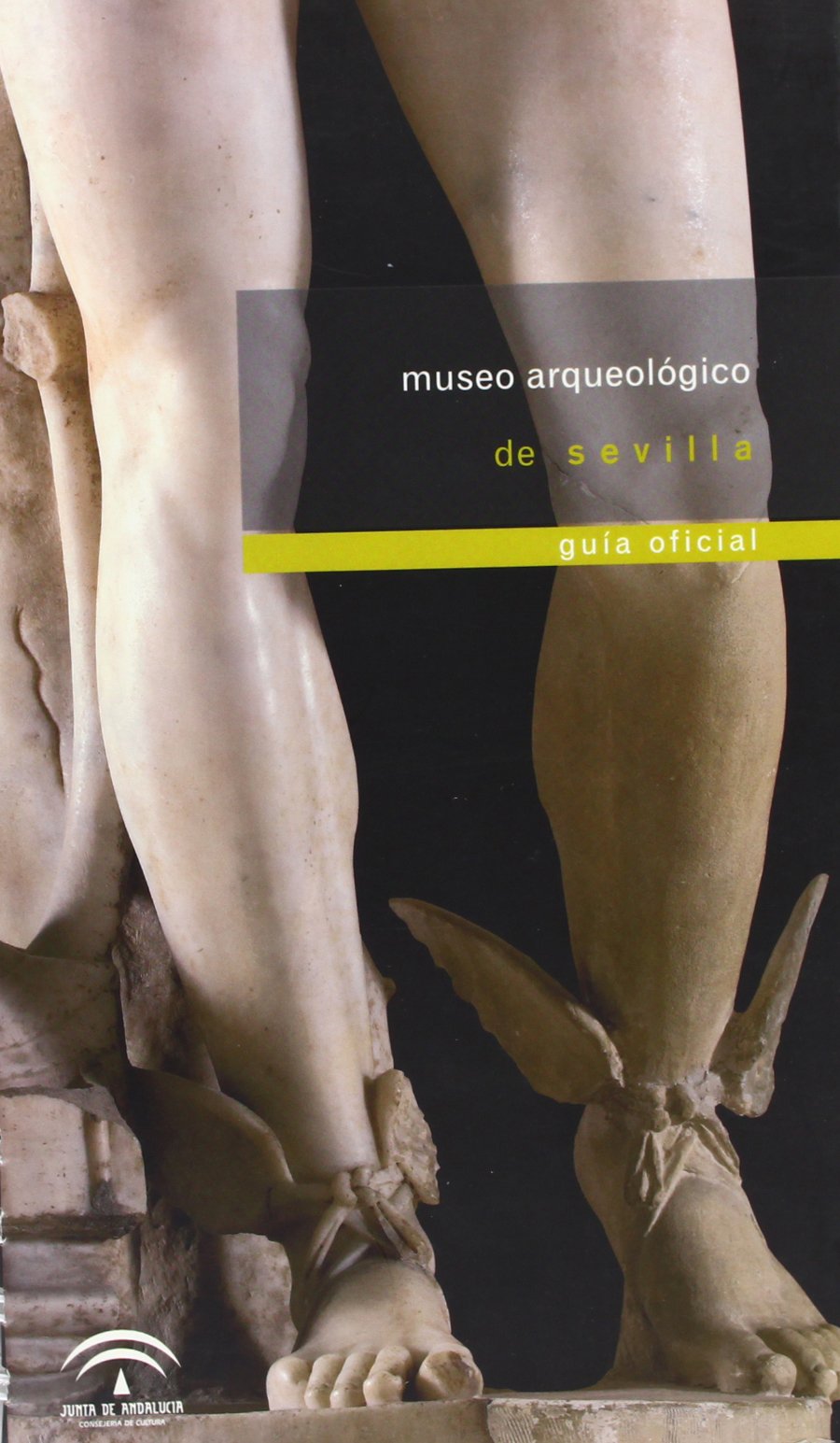 Museo Arqueológico de Sevilla : guía oficial Books