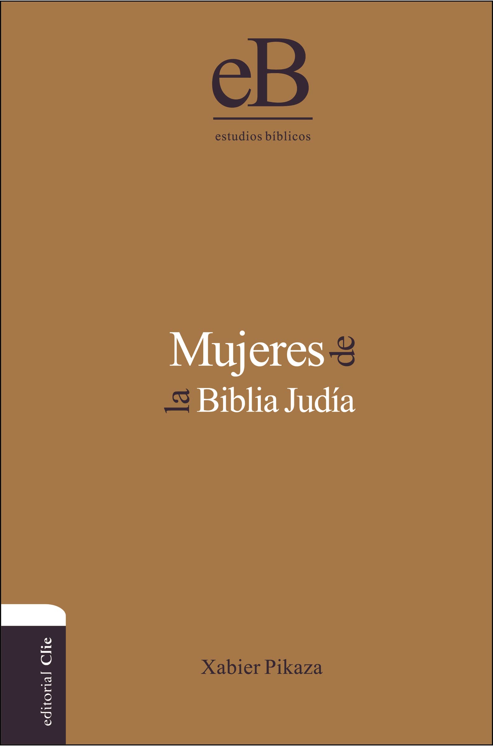 Mujeres de la Biblia Judía book