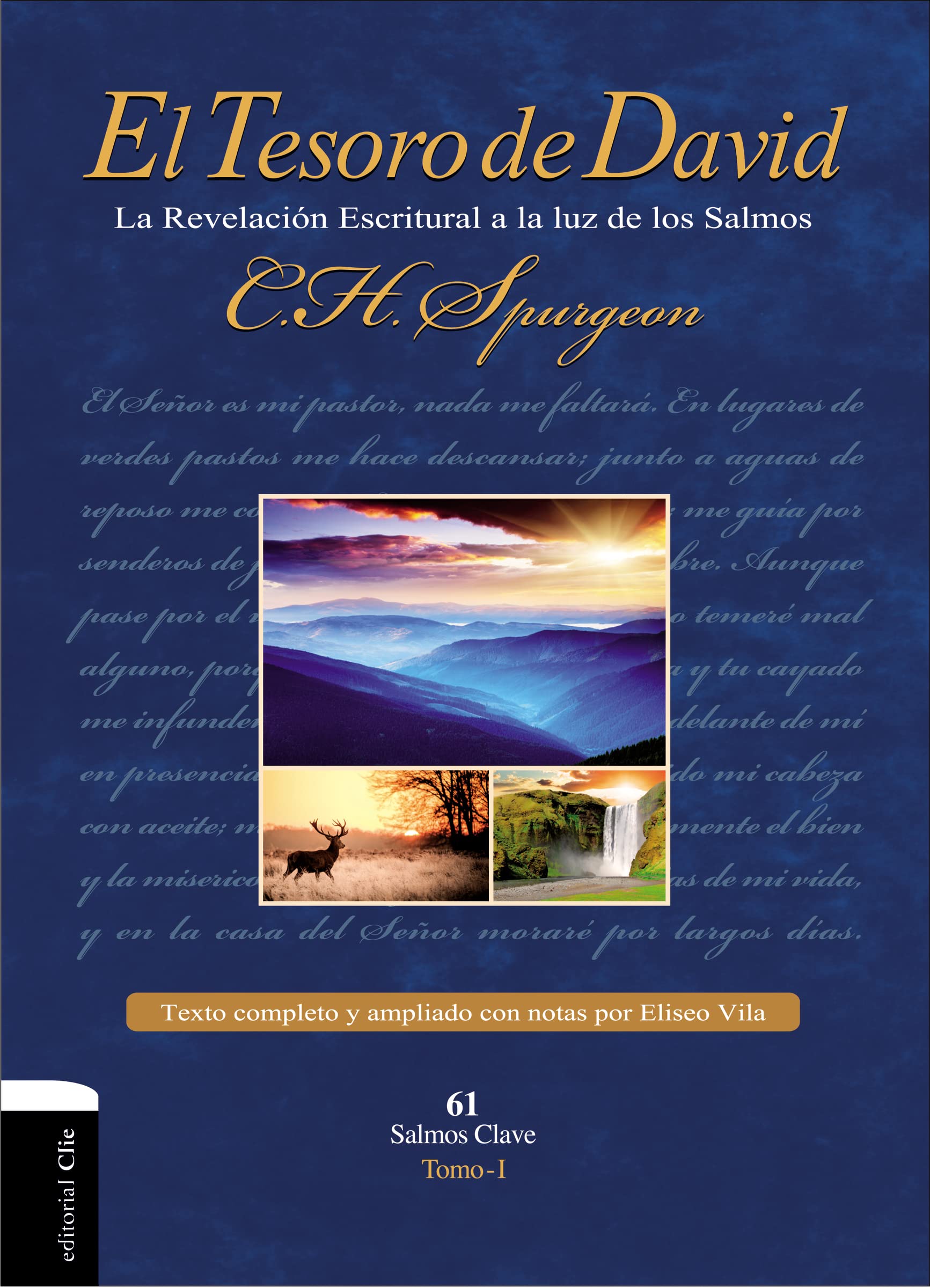 El Tesoro de David I: La Revelación Escritural a la luz de los Salmos book