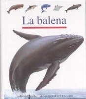 Product Image: La balena