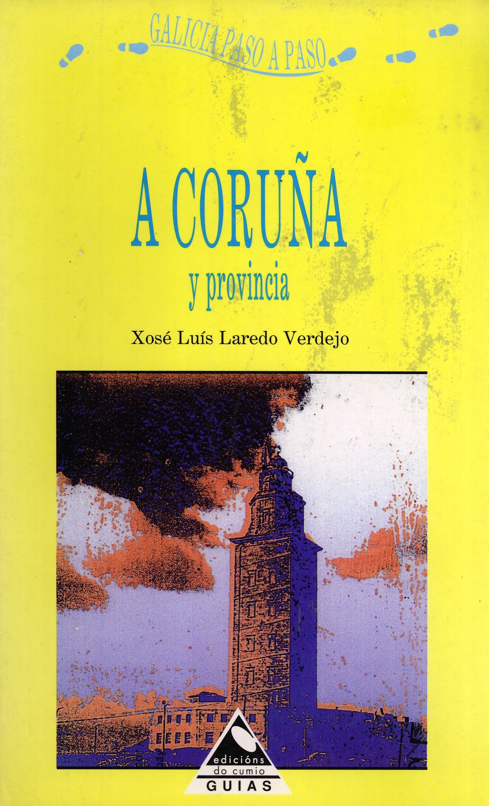 A CORUÑA Y PROVINCIA (GALICIA PASO A PASO) book