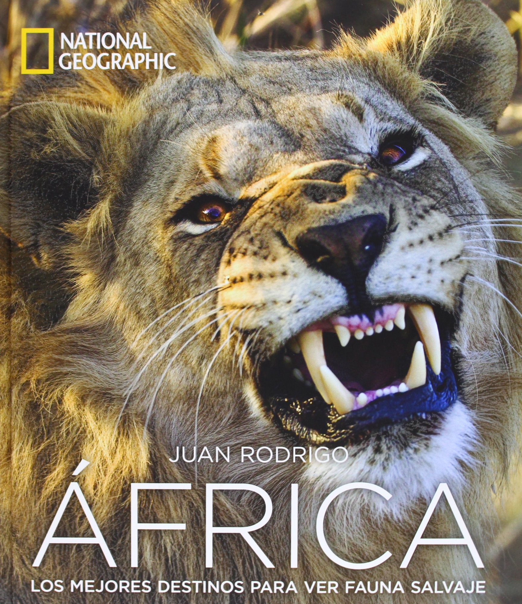 África : los mejores destinos para ver fauna salvaje Leisure, Home & Garden