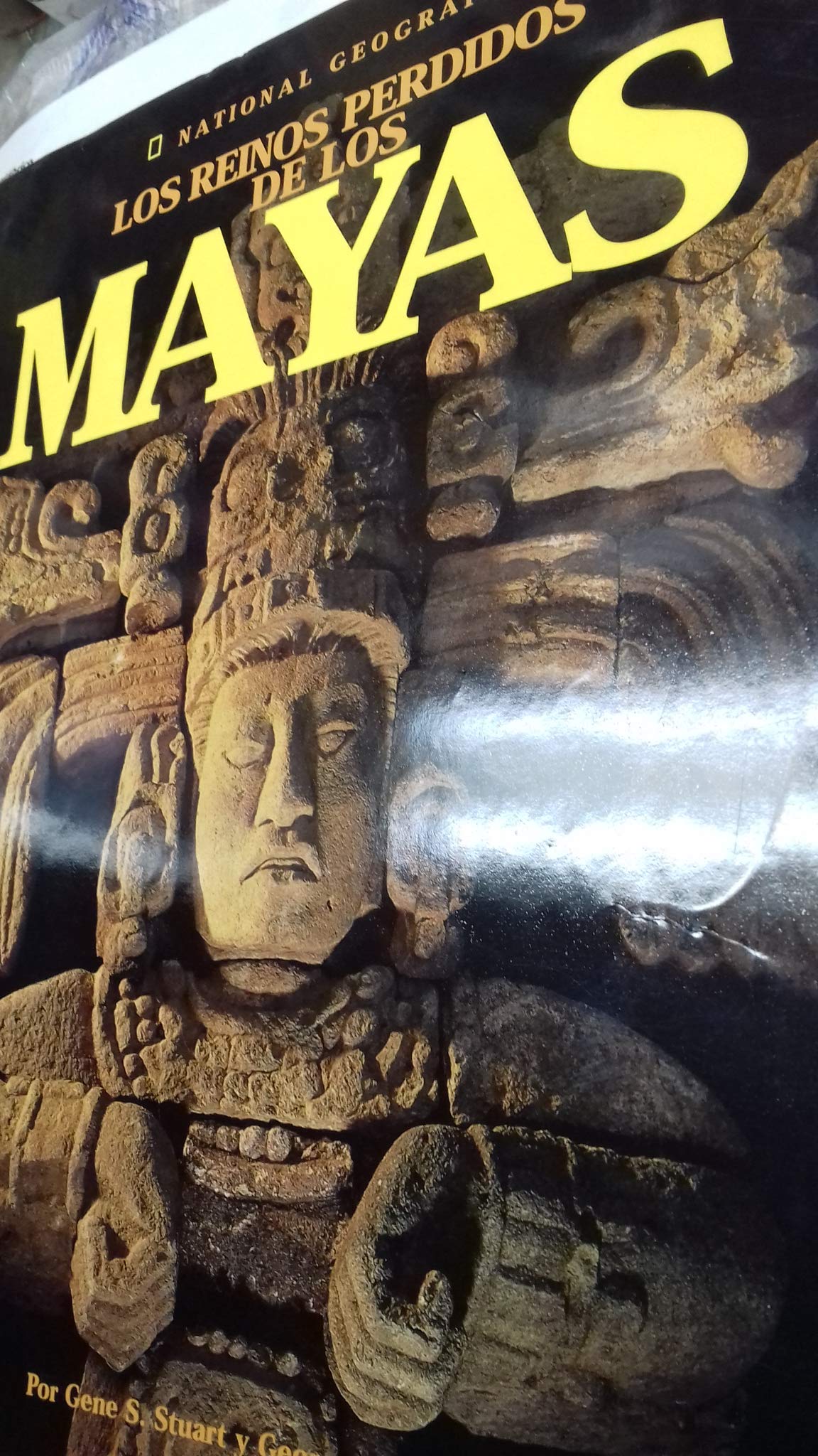 Los reinos perdidos de los mayas (GRANDES OBRAS ILUSTR, Band 221) Natural Sciences