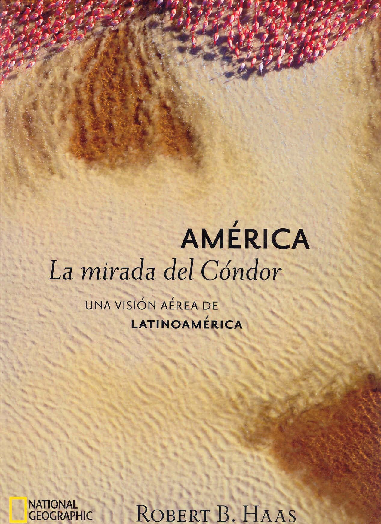 La mirada del condor (GRANDES OBRAS ILUSTR, Band 508) Film, Art & Culture