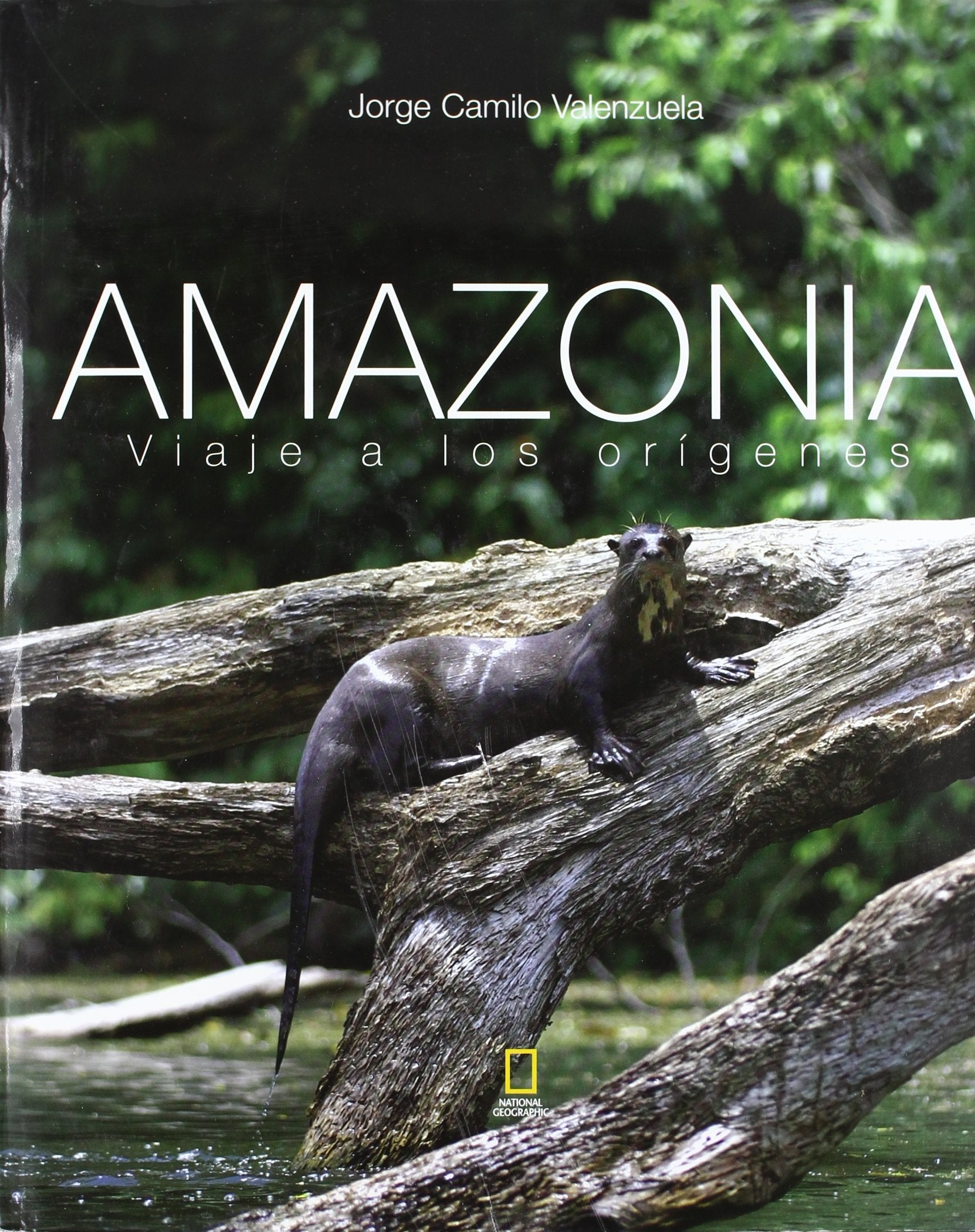 Product Image: AMAZONIA