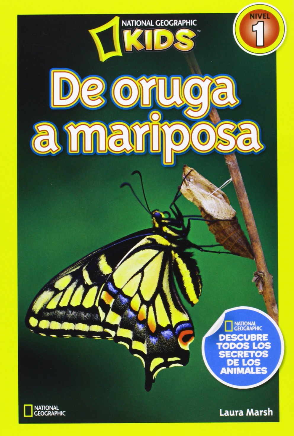 De oruga a mariposa (NG KIDS) Non-fiction