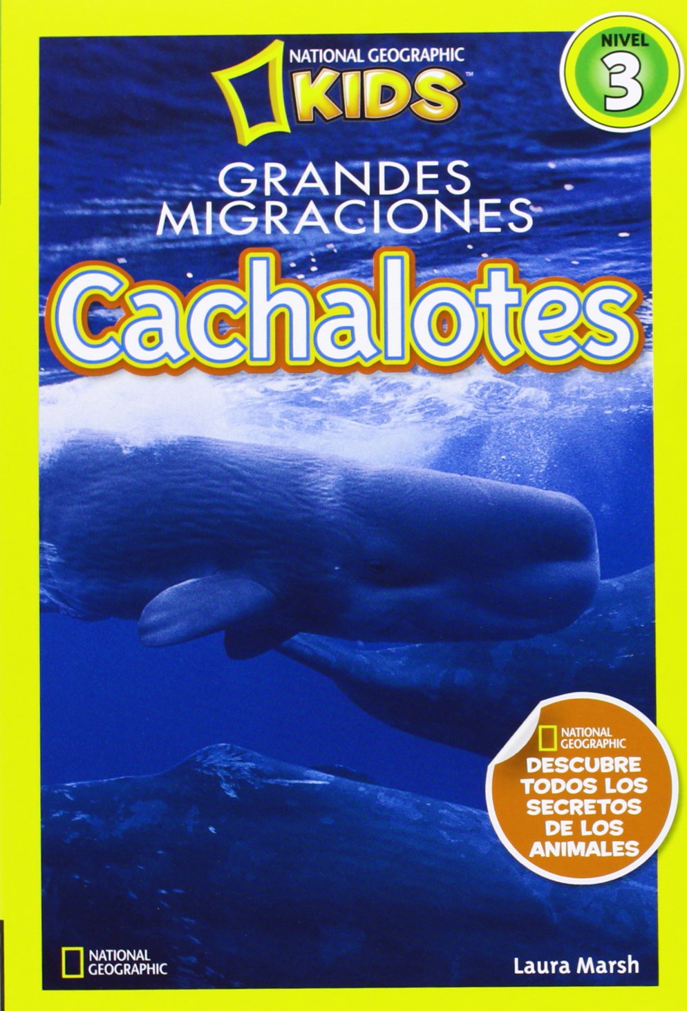Cachalotes (NG KIDS) Non-fiction books for kids