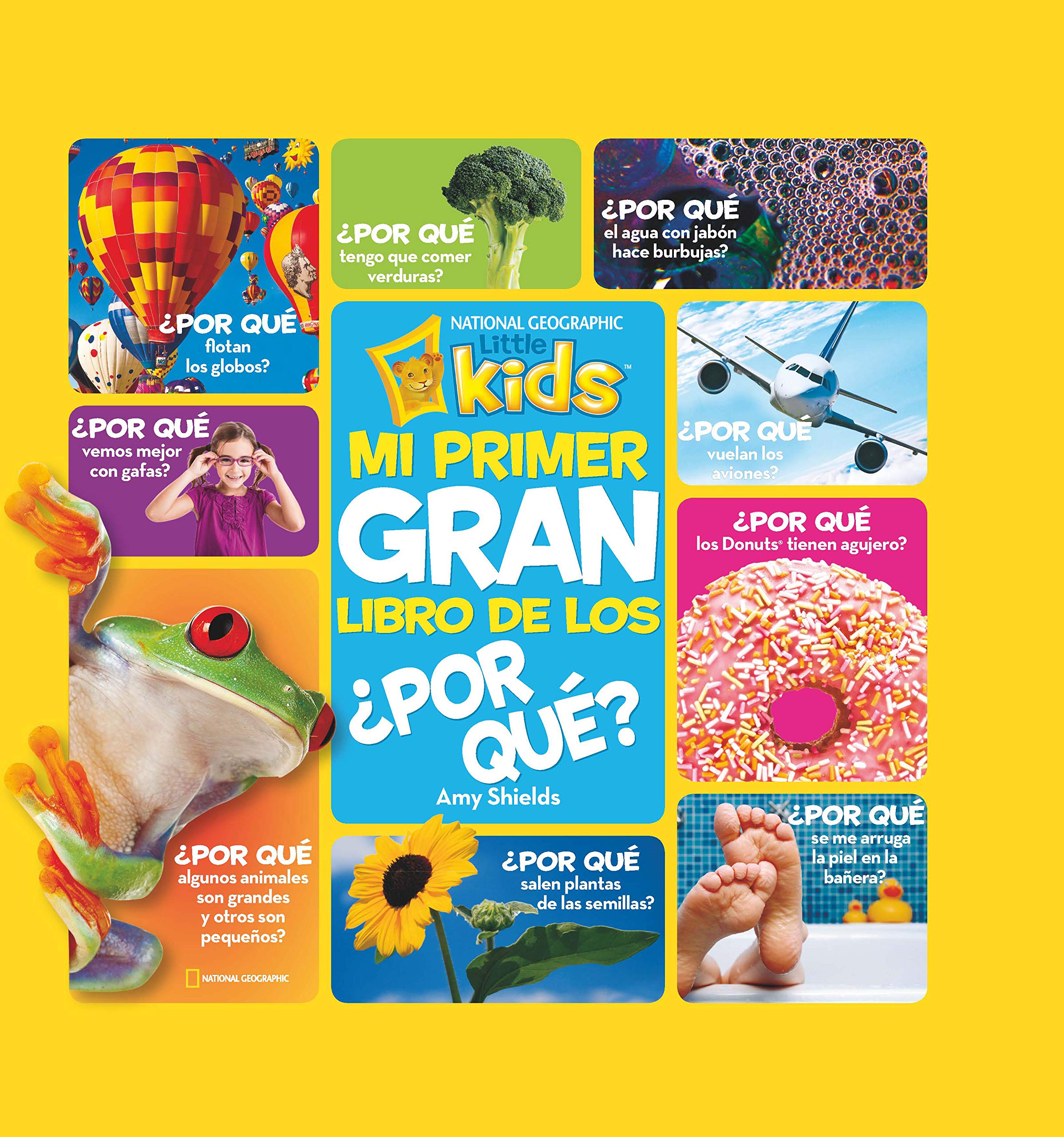 Mi primer gran libro de los ¿por qué? (National Geographic Kids) Social Sciences