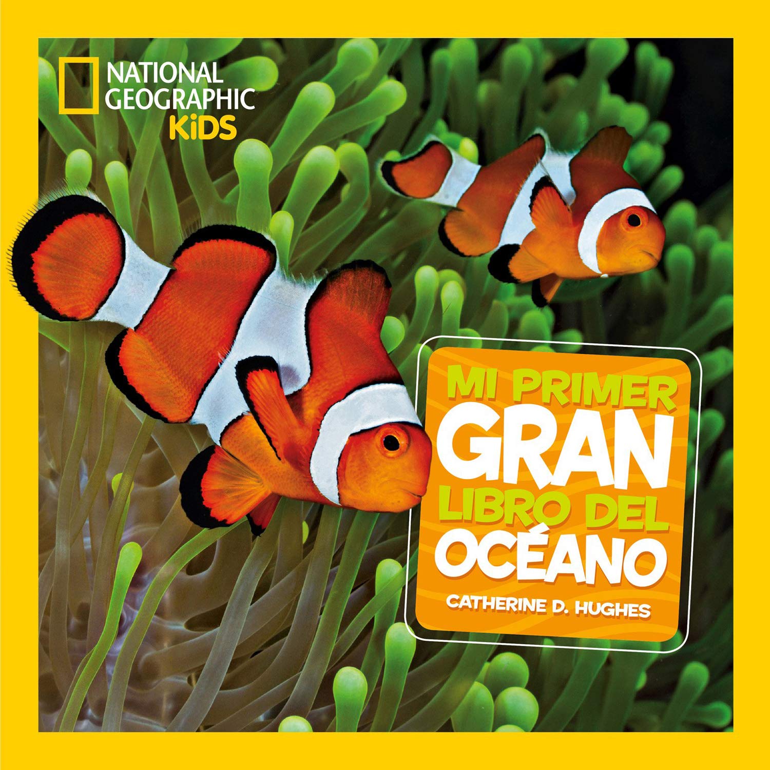 Mi primer gran libro del Océano (National Geographic Kids) Social Sciences