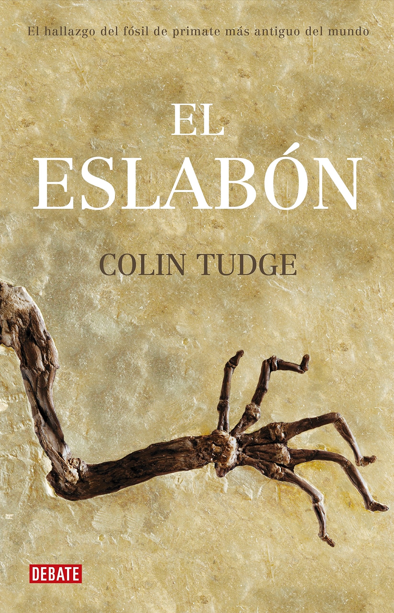 El eslabón: La historia del fósil de primate más antiguo del mundo (Debate) Business & Technology
