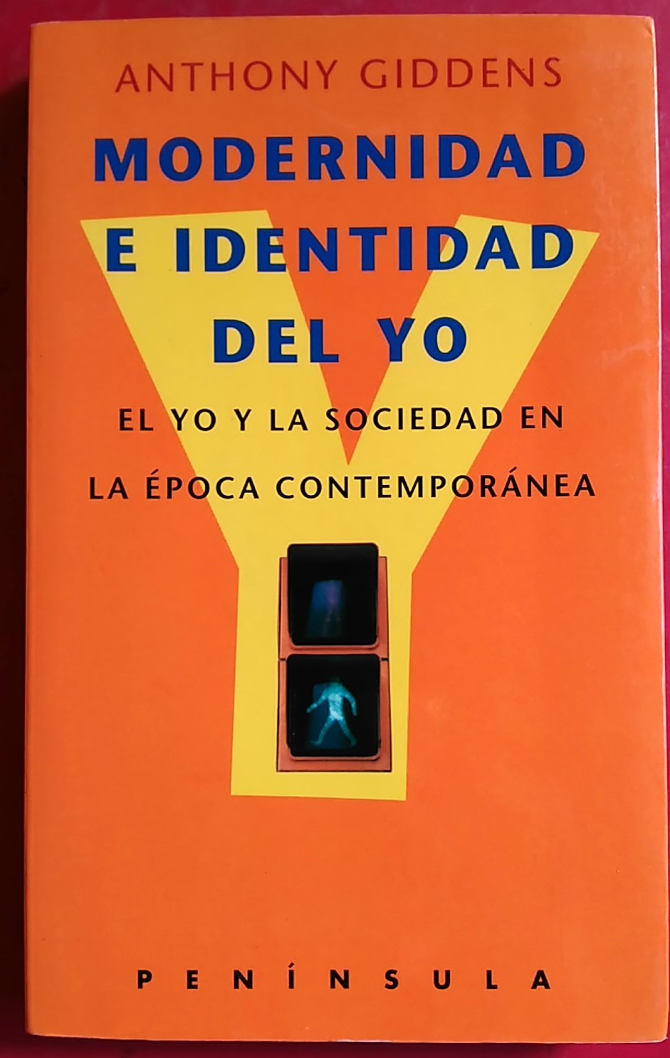 Modernidad e identidad del yo: El yo y la sociedad en la época contem (HISTORIA, CIENCIA Y SOCIEDAD, Band 257) Social Sciences