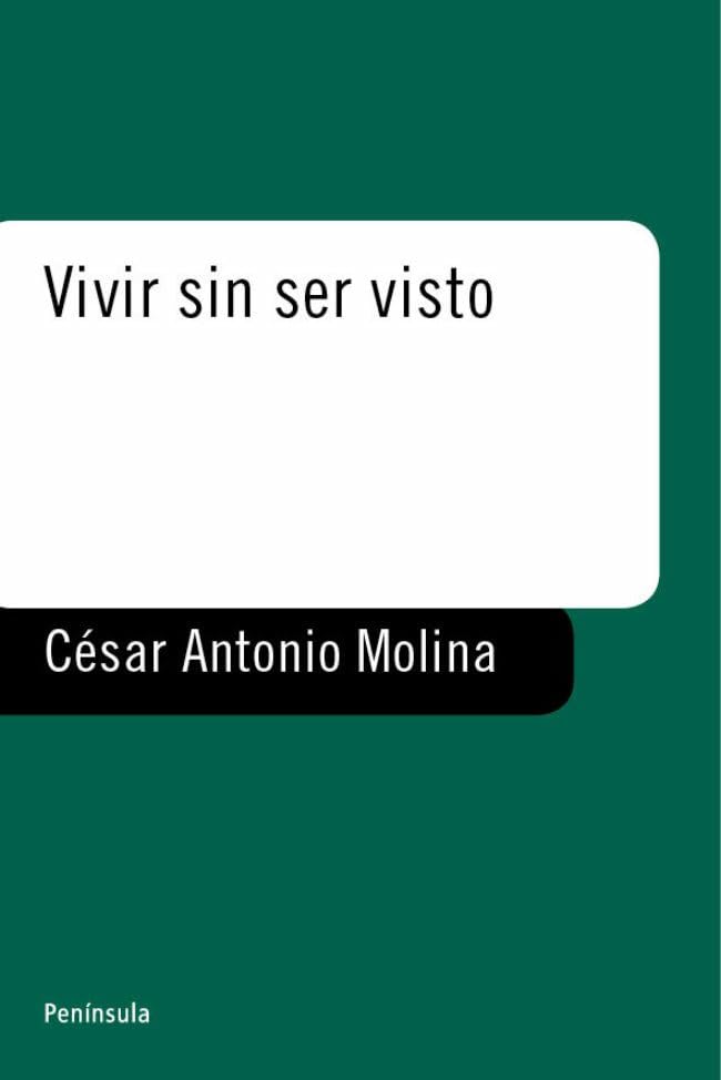 Vivir sin ser visto (FICCIONES) Contemporary literature