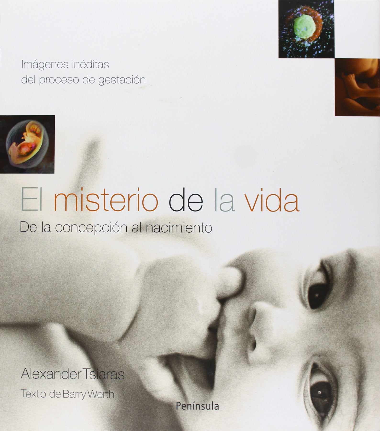 El Misterio De La Vida/the Mystery Of Life: De La Concepcion Al Nacimiento/from Conception To Birth book