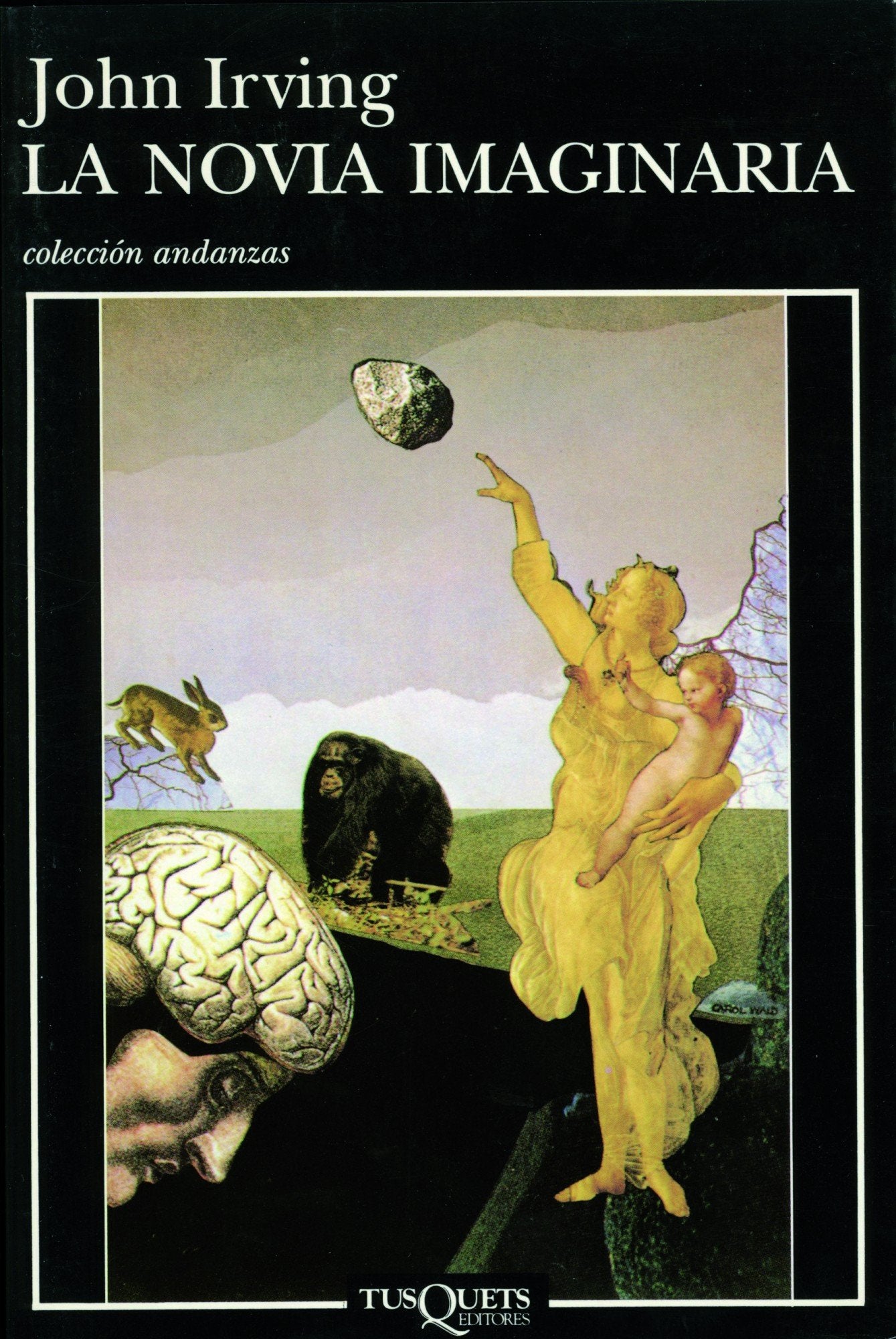 La Novia Imaginaria / Trying to save Piggy Sneed book