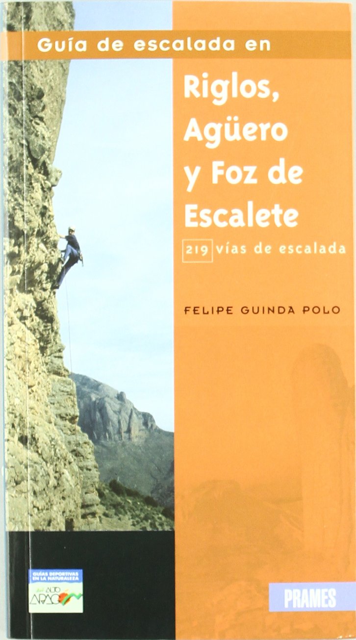 Guia De Escalada En Riglos, Aguero y Foz De Escalete book