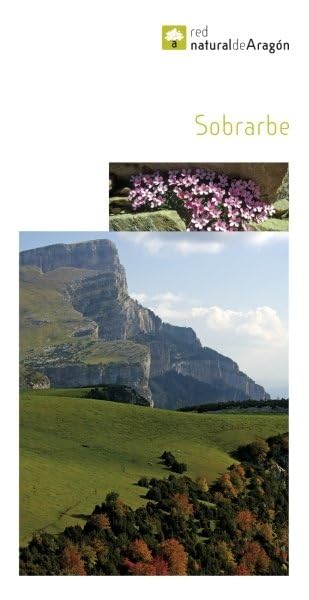 Überstreichbar (Naturrot Nr. 21) Travel