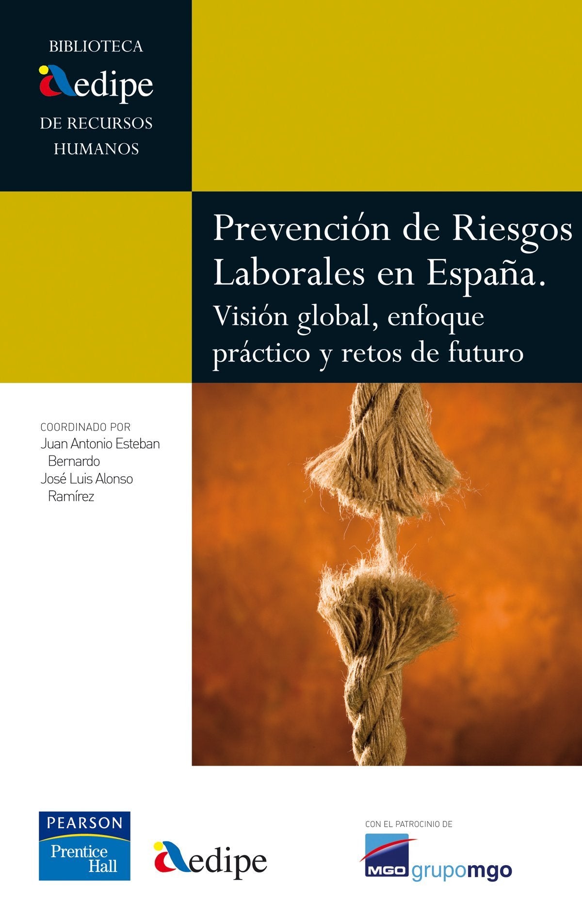 Aedipe: prevención de riesgos laborales (Biblioteca AEDIPE) Books
