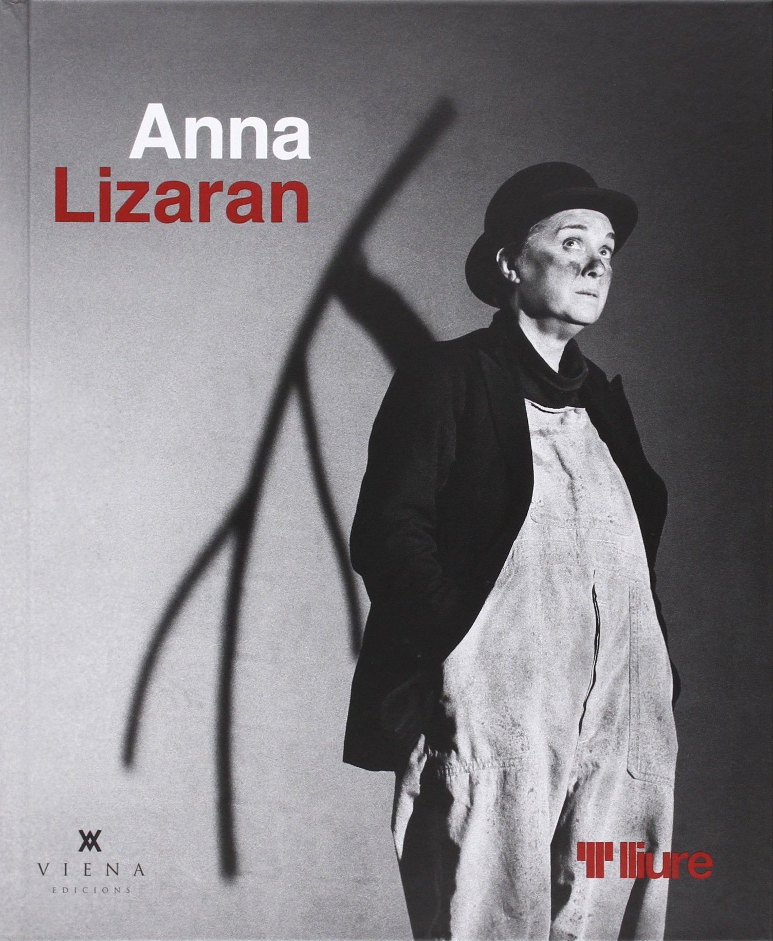 Anna Lizaran book