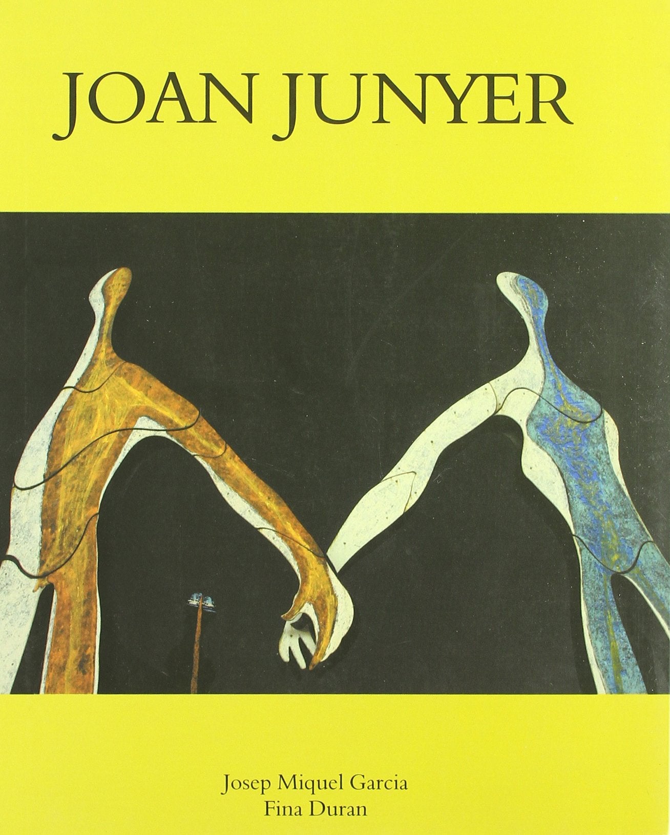 Joan Junyer : assaig biogràfic book