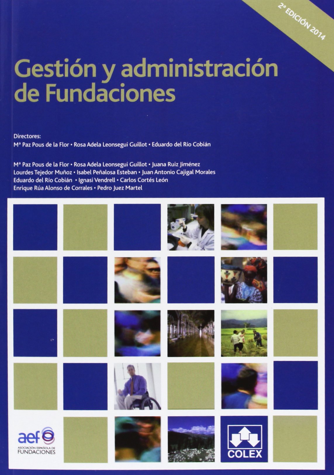 Gestión y administración de las fundaciones (MANUALES UNIVERSITARIOS) Law