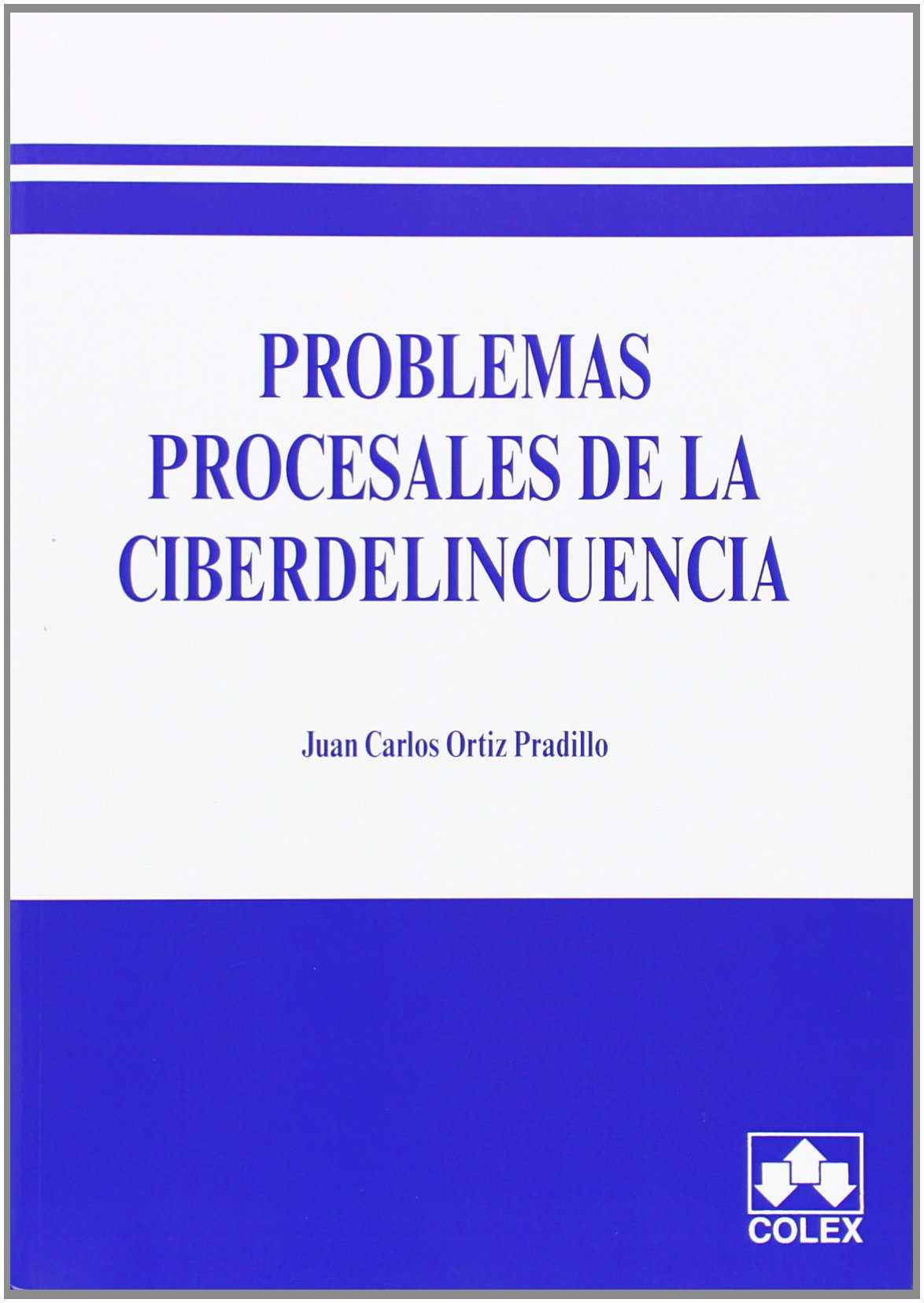 Problemas procesales de la ciberdelincuencia Law