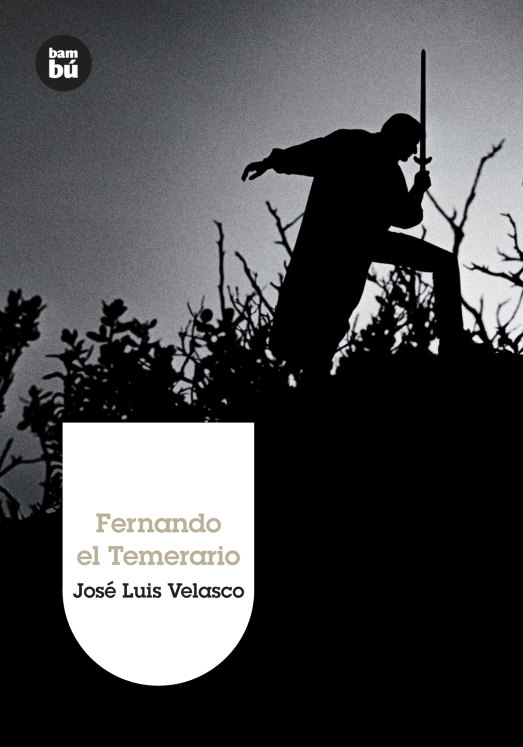 Fernando el Temerario Fiction