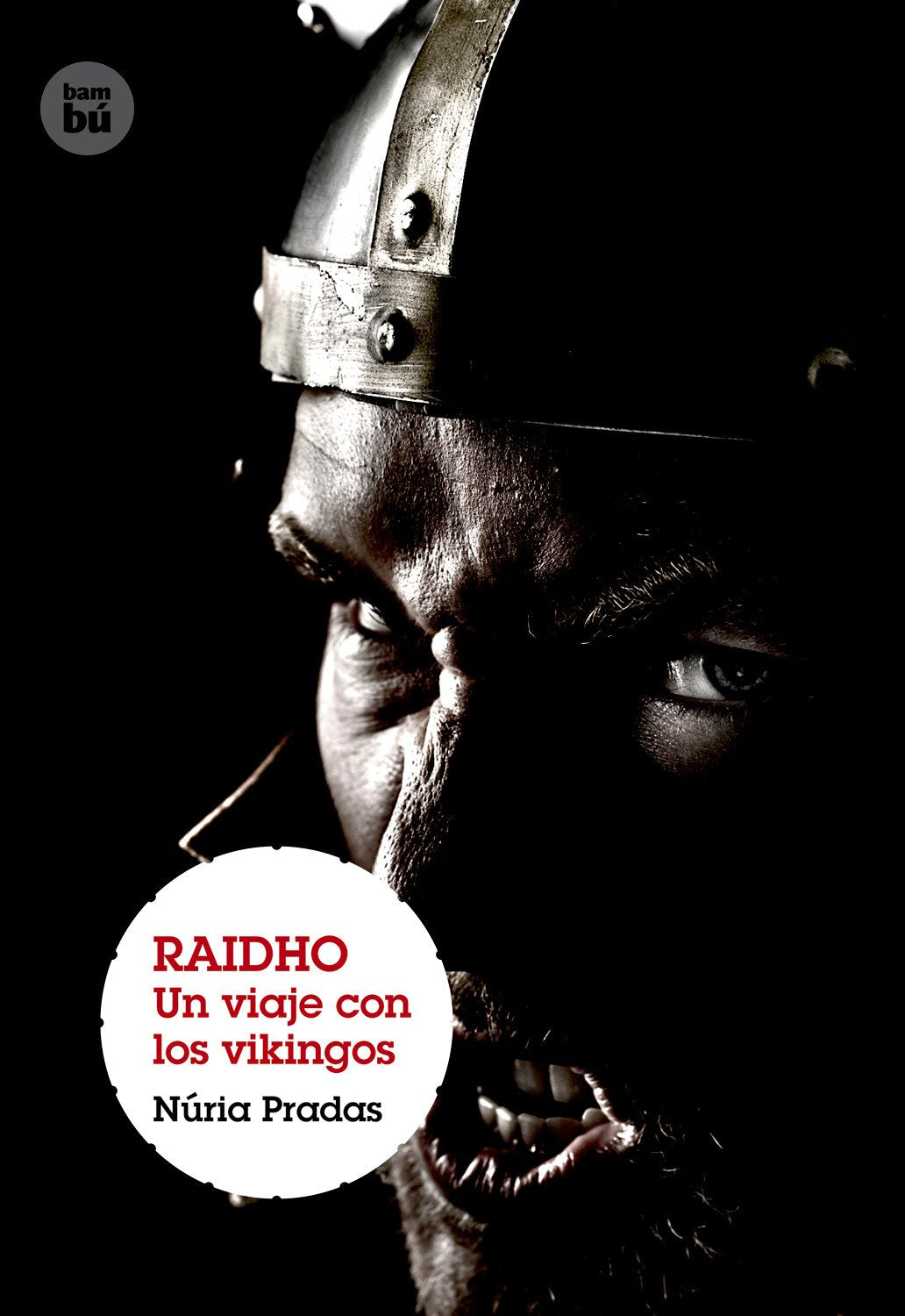 Raidho. Un viaje con los vikingos Novels & Short Stories
