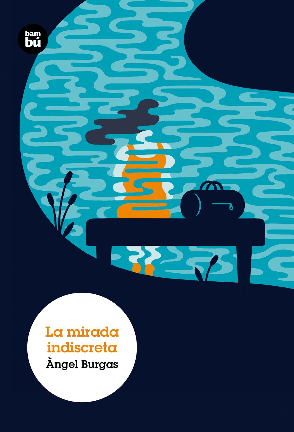 La mirada indiscreta (Grans Lectors) Social Sciences