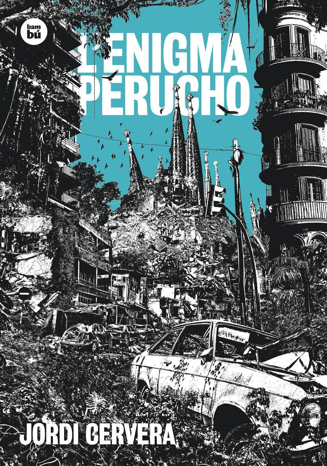 L'enigma Perucho book