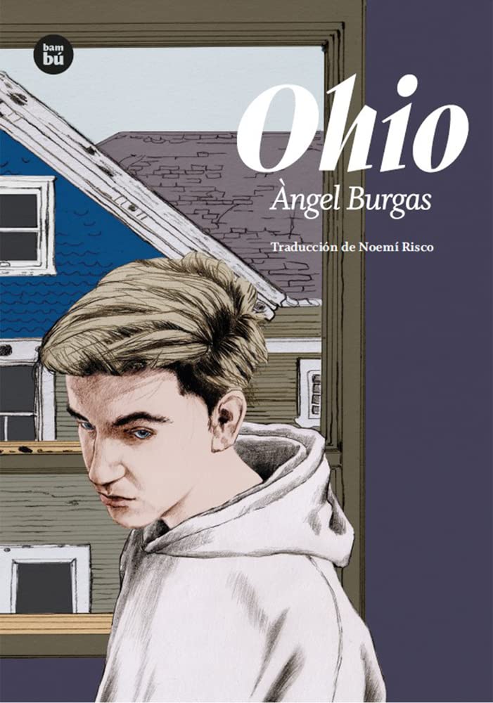 Ohio Fiction