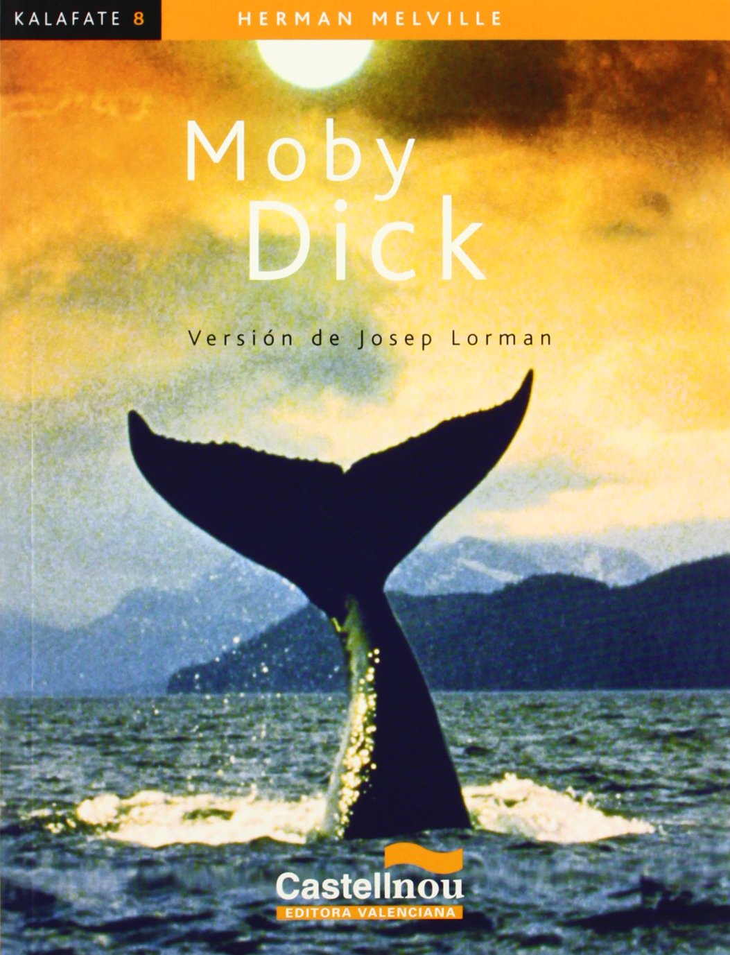 Moby Dick book