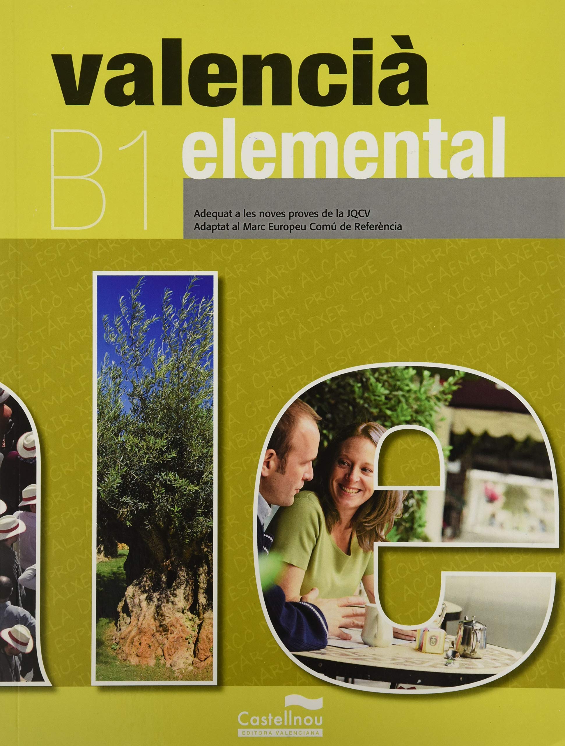 VALENCIA ELEMENTAL B1 book