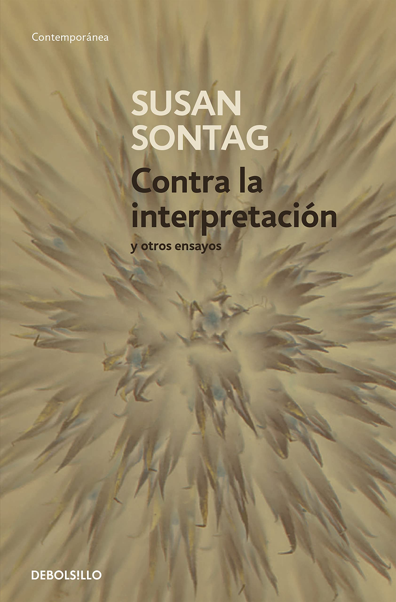 Contra la interpretación (Contemporánea) Philosophy