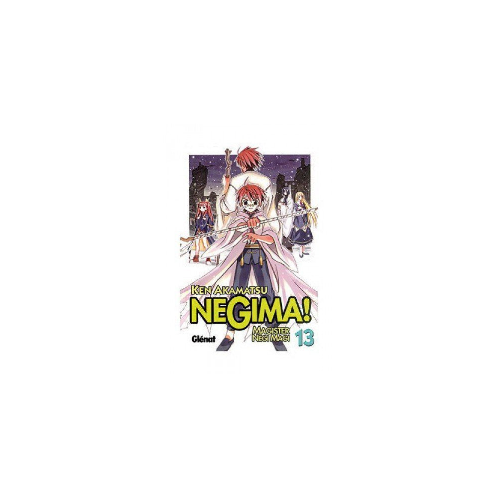 Negima 13: Magister Negi Magi book