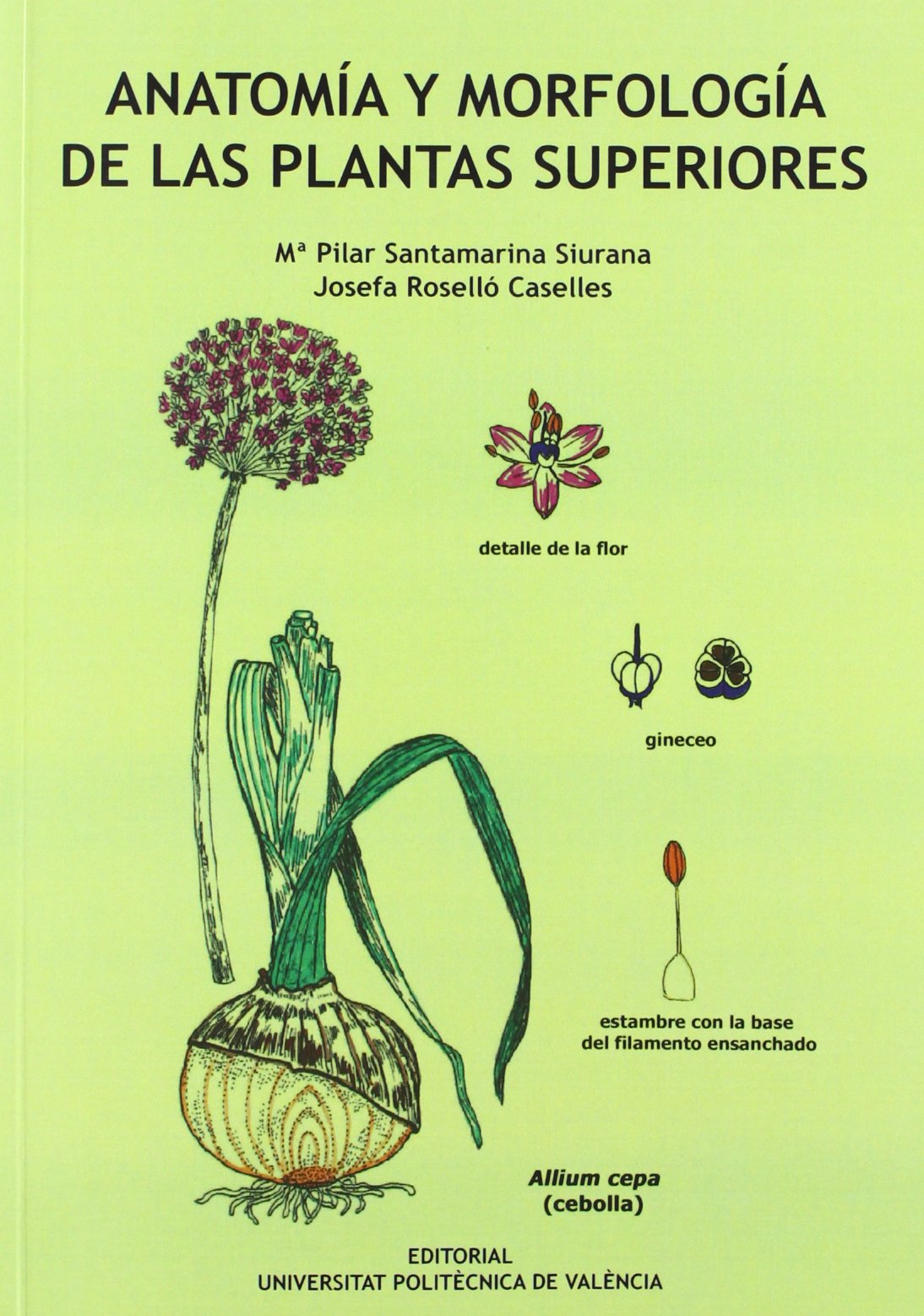 ANATOMÍA Y MORFOLOGÍA DE LAS PLANTAS SUPERIORES book