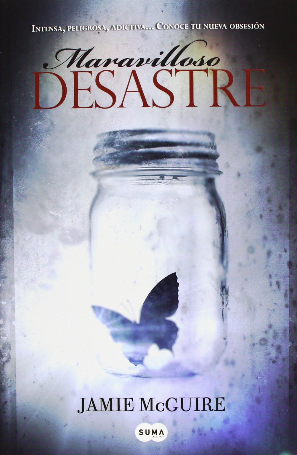 Maravilloso desastre Contemporary literature