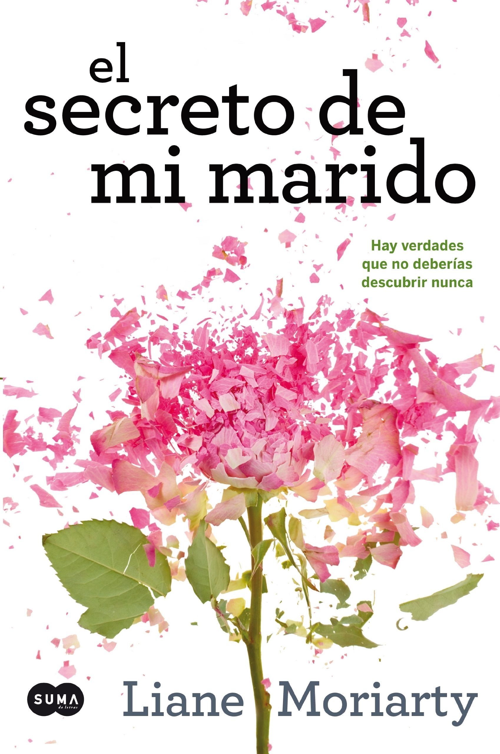 El secreto de mi marido : hay verdades que no deberías descubrir nunca (SUMA) Contemporary literature