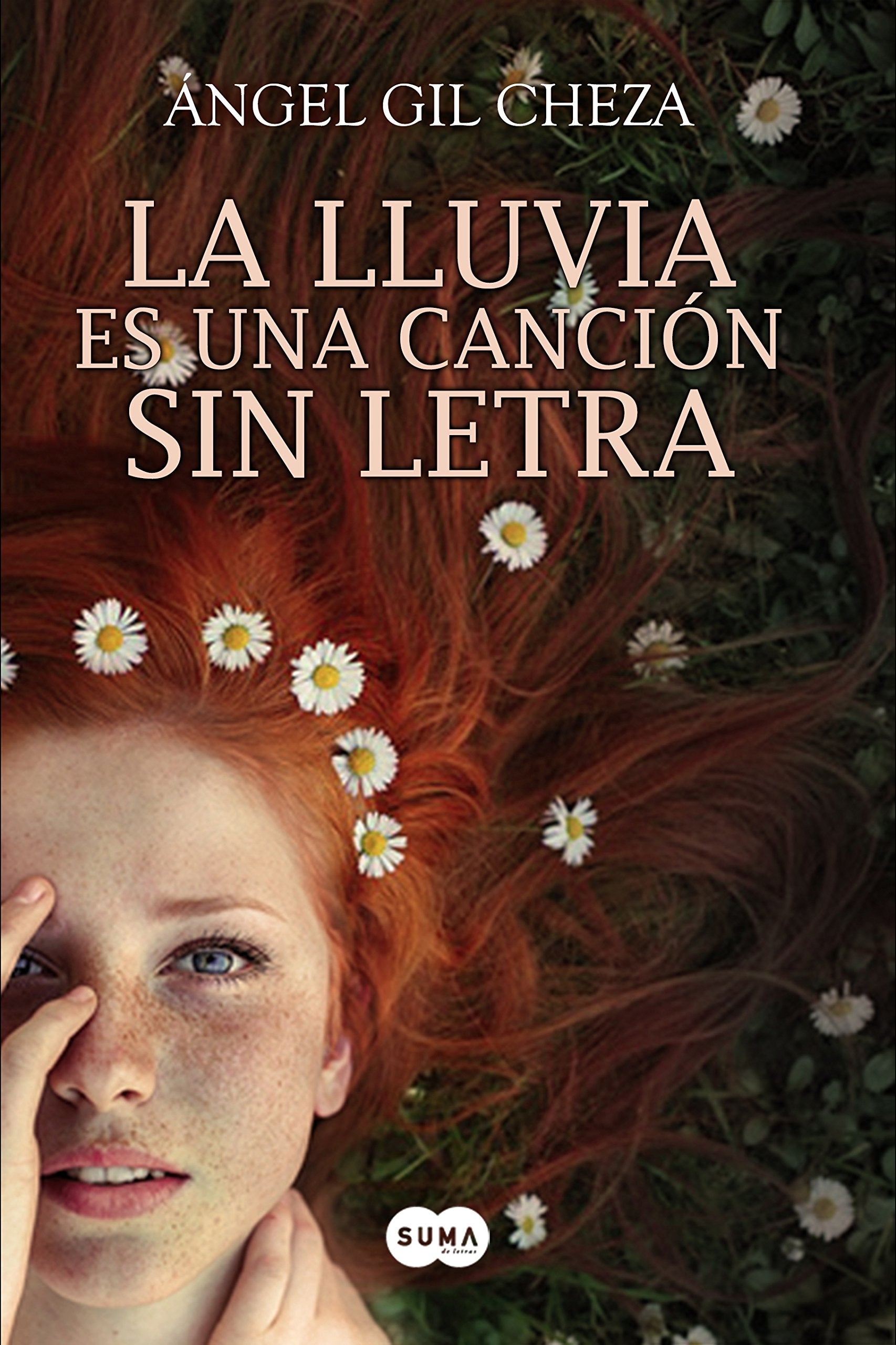 La lluvia es una canción sin letra book