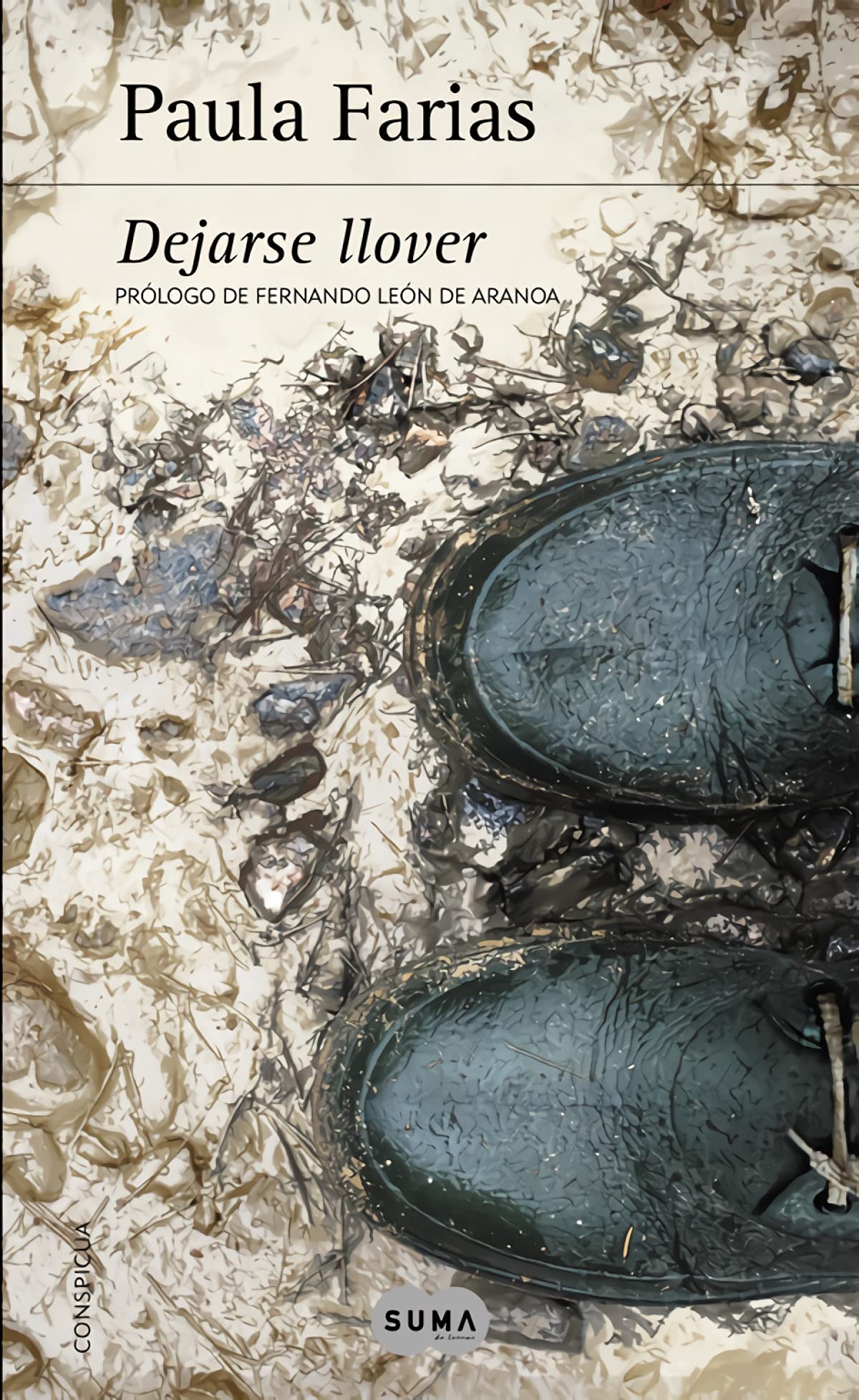 Dejarse llover: Prólogo de Fernando León de Aranoa book