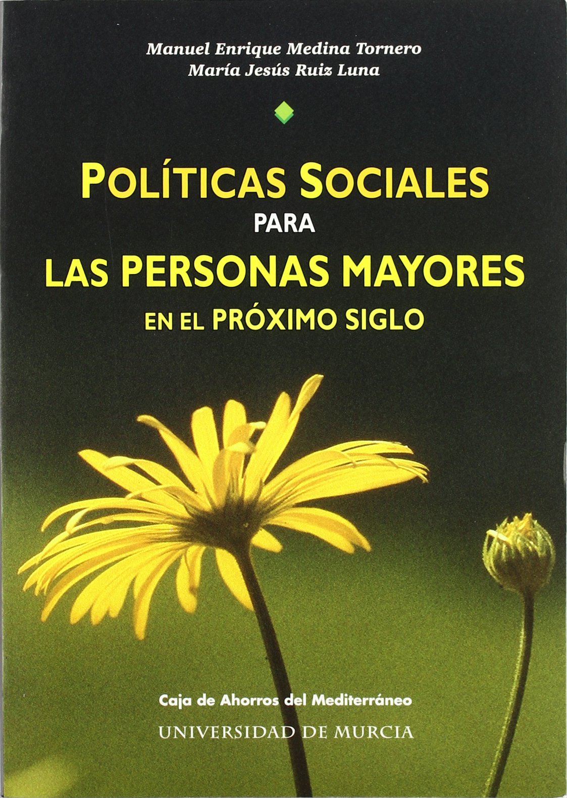 Políticas Sociales para las Personas Mayores en el Próximo Siglo Social Sciences