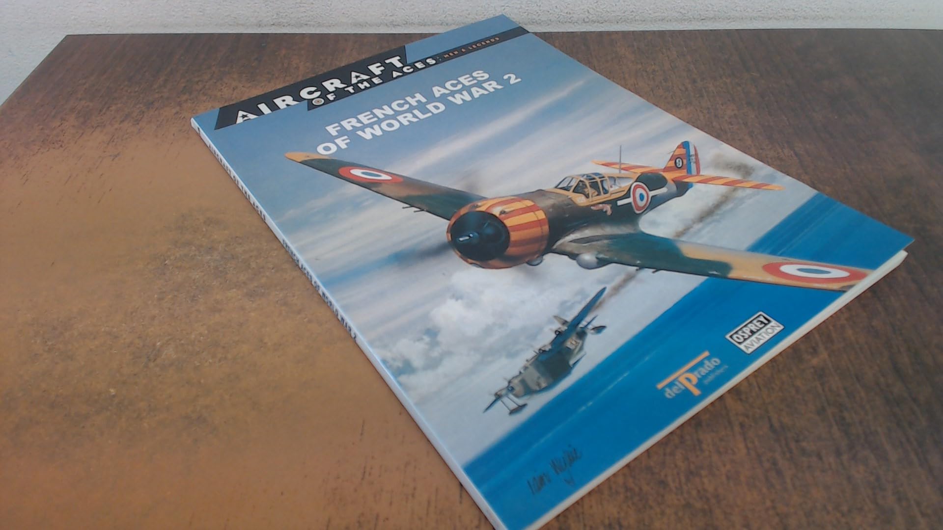 French Aces of World War 2 book