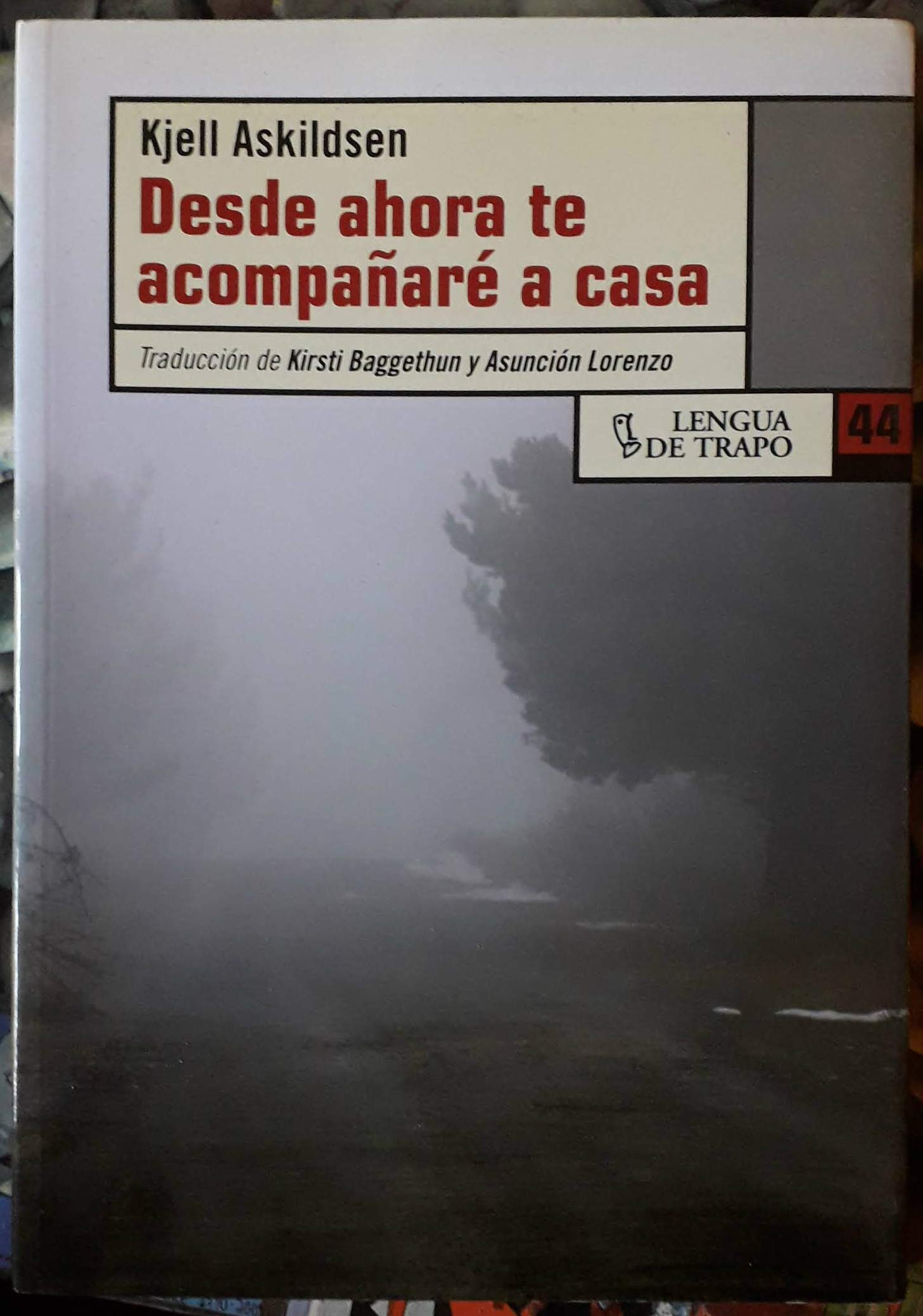 Desde ahora te acompañaré a casa book