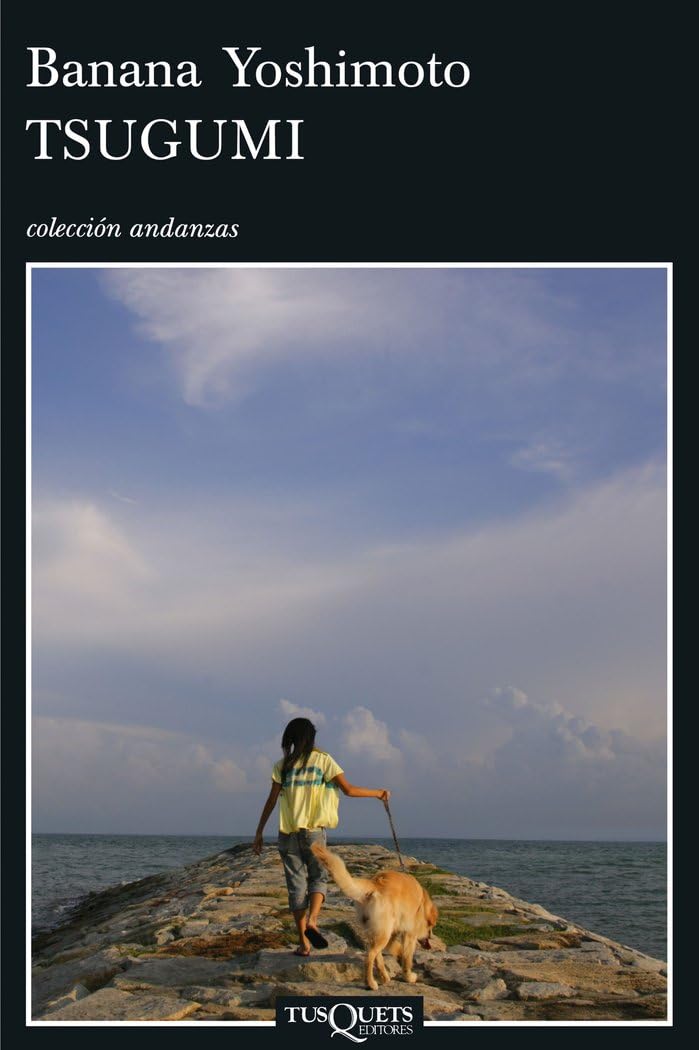 Tsugumi (Andanzas, Band 653) Contemporary literature