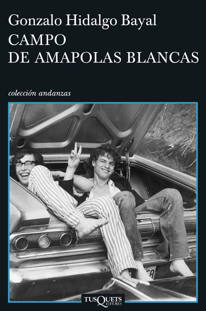 Campo de amapolas blancas (Andanzas, Band 660) Contemporary literature