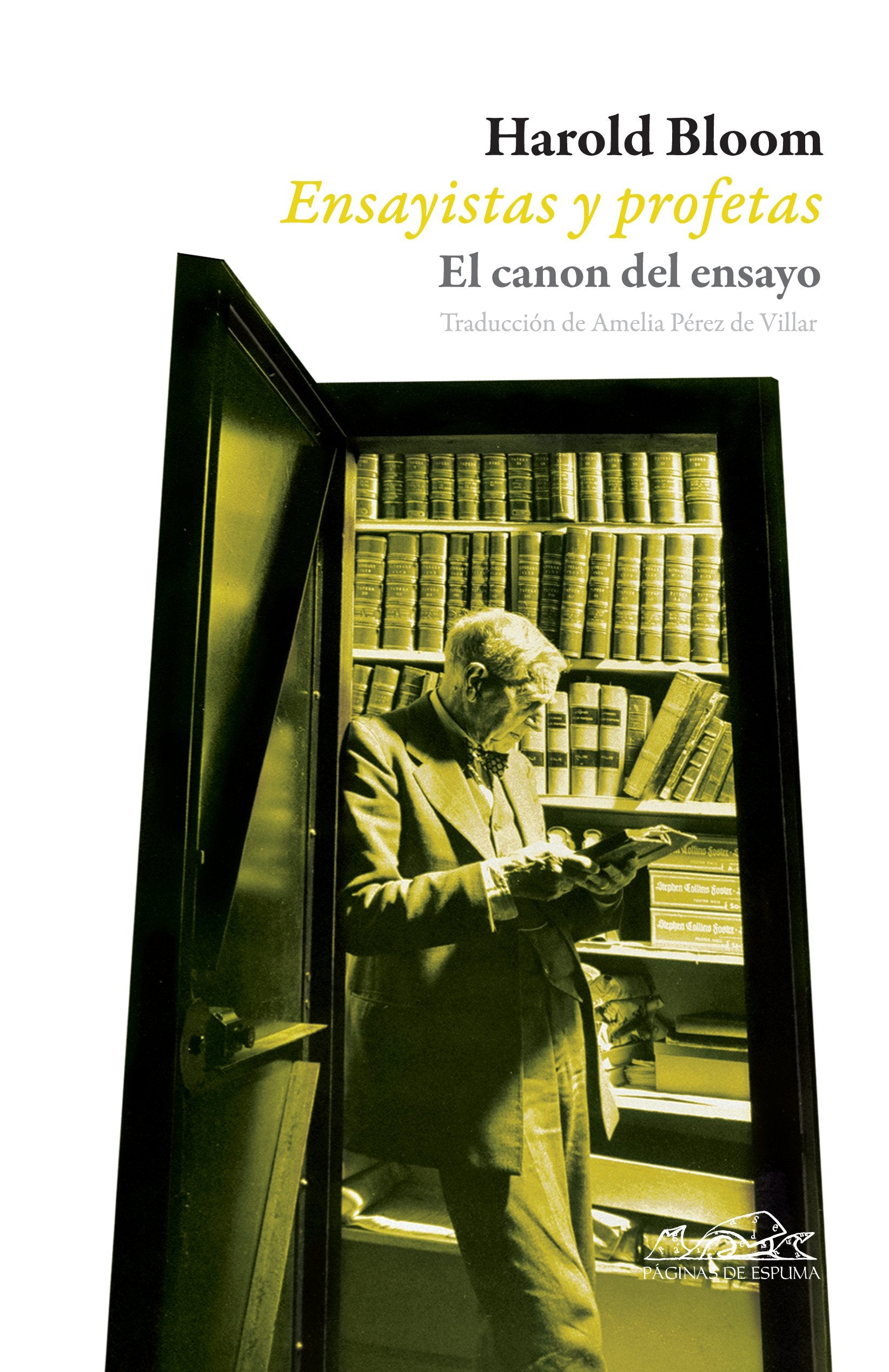 Ensayistas y profetas : el canon del ensayo Contemporary literature