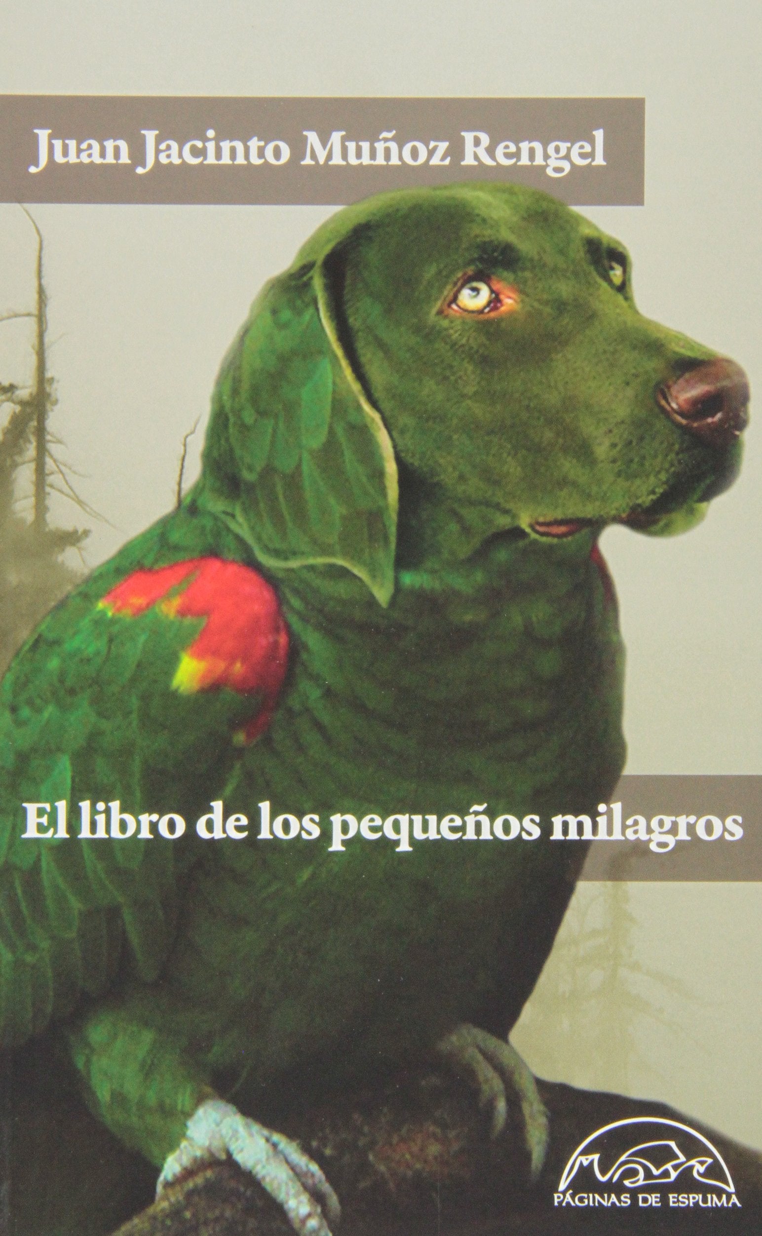El libro de los pequeños milagros Fairy Tales & Legends