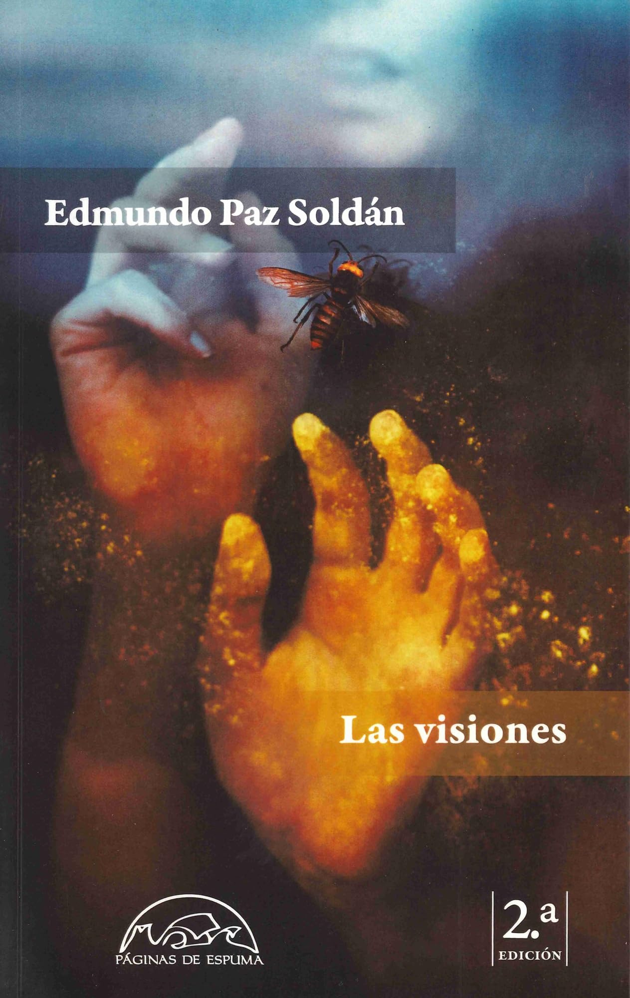 Las visones/ Visions book