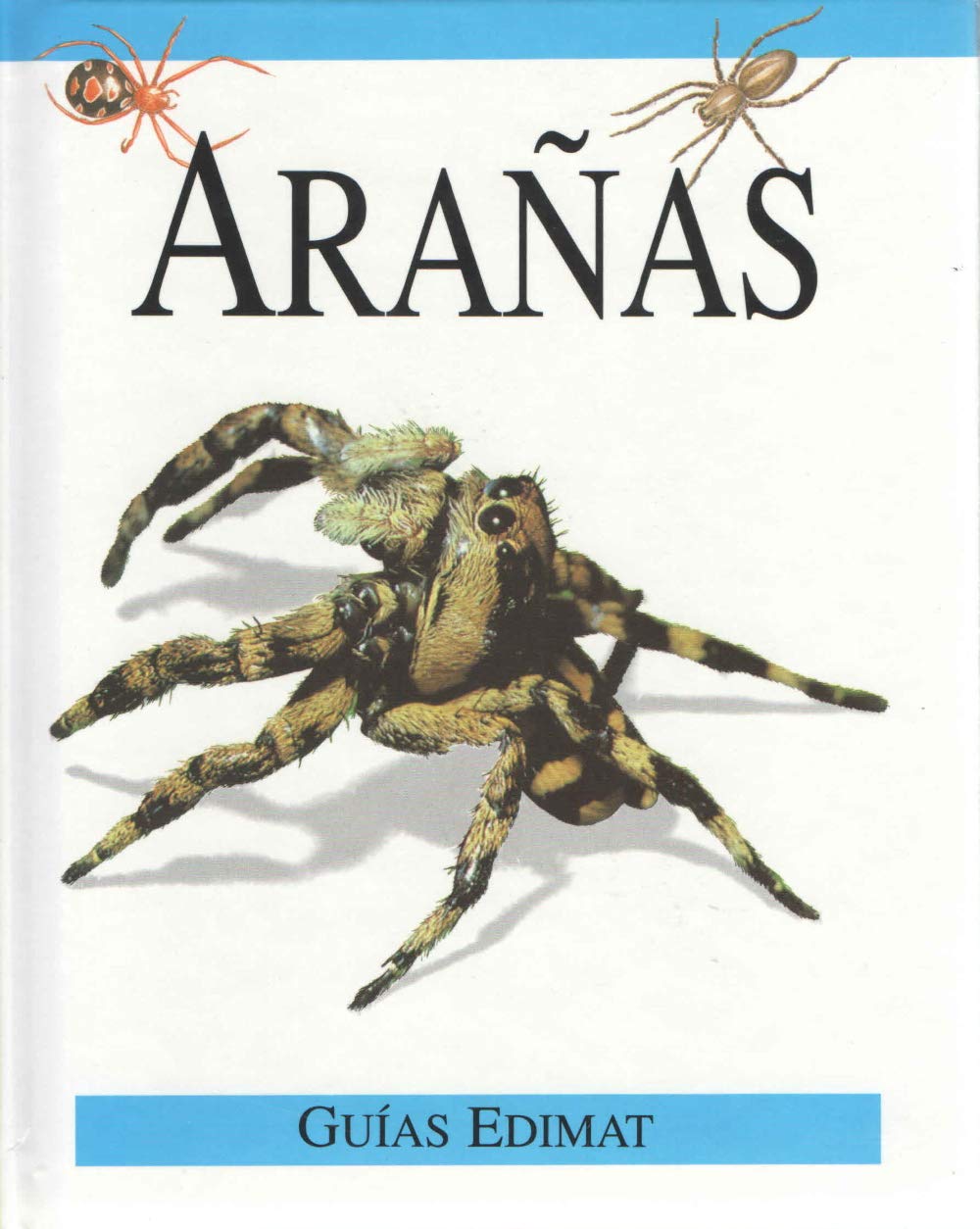 Aranas - Guias Edimat book