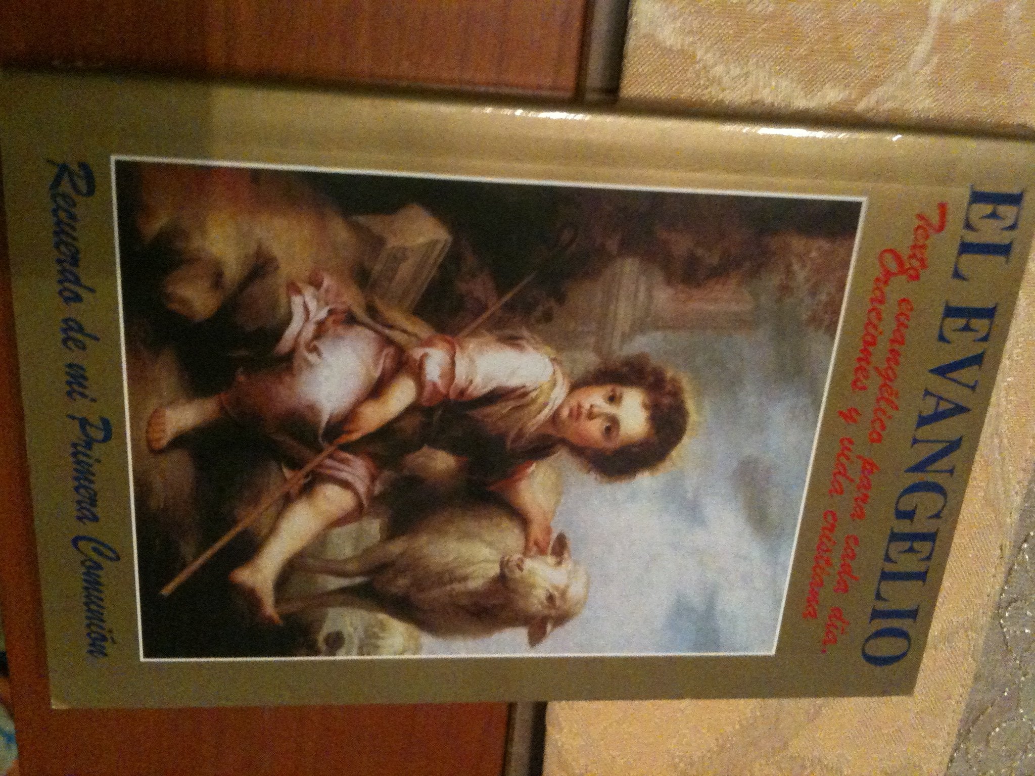 El Evangelio: Recuerdo de mi Primera Comunión: Texto evangélico para cada día. Oraciones y vida cristiana (Edibesa de bolsillo, Band 1) Books